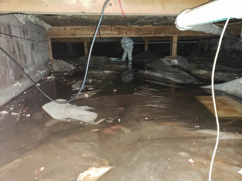 Wet Basement Solutions in Tuscaloosa, AL